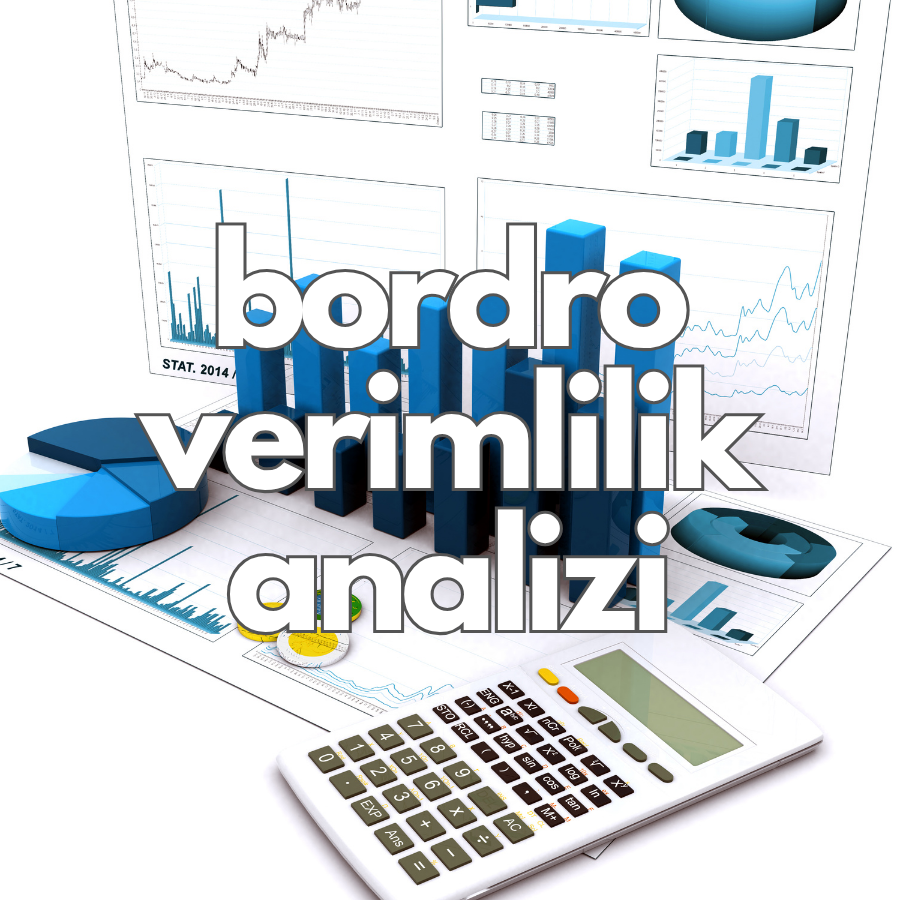bordro verimlilik analizi 1